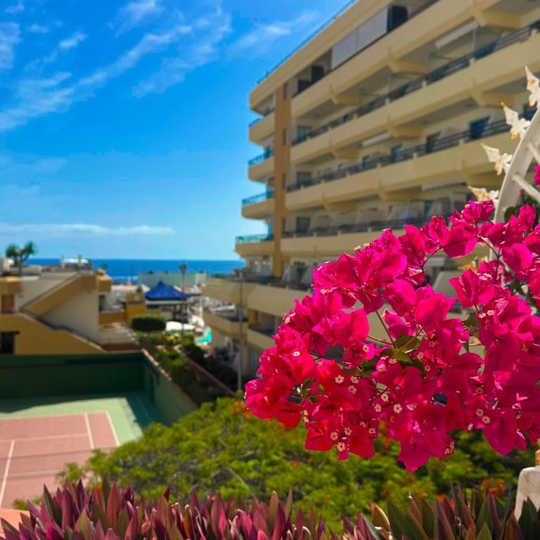 Apartment in Ocean Park, Costa Adeje, Tenerife - One-Bedroom Apartment - 19