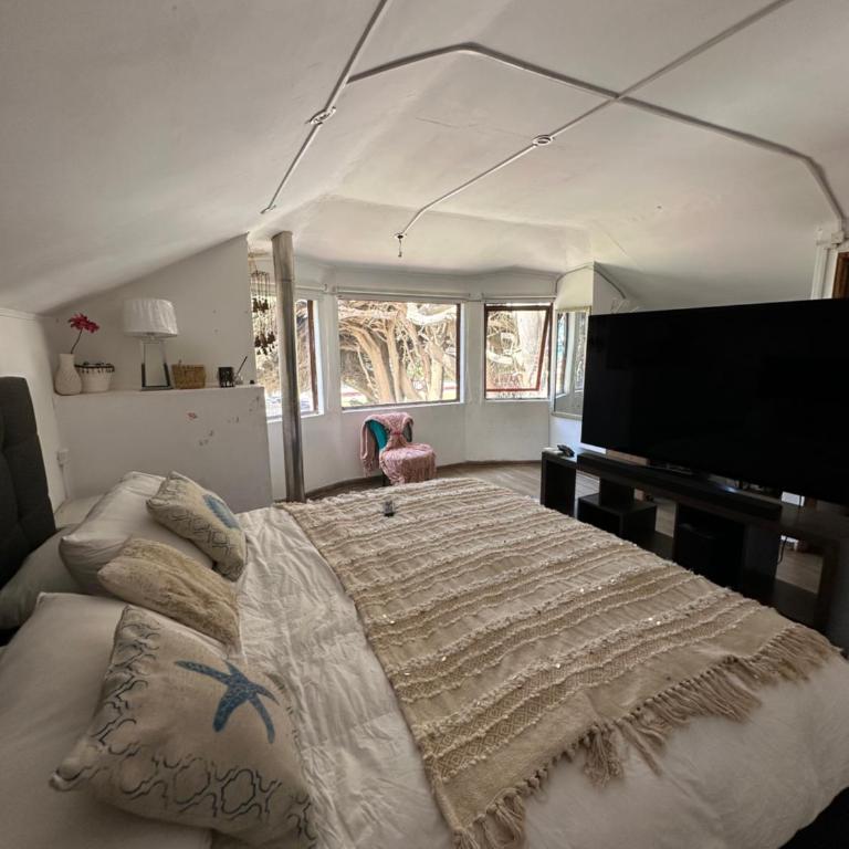 Casa Parque Ross - One-Bedroom House - 14