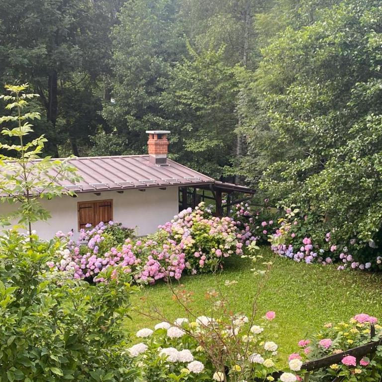 Relax, Comfort & Alps Adventures - Appartamento con 2 Camere da Letto - 10