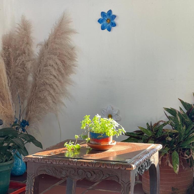 Villa Gabriela - Casa de 2 dormitorios - 24