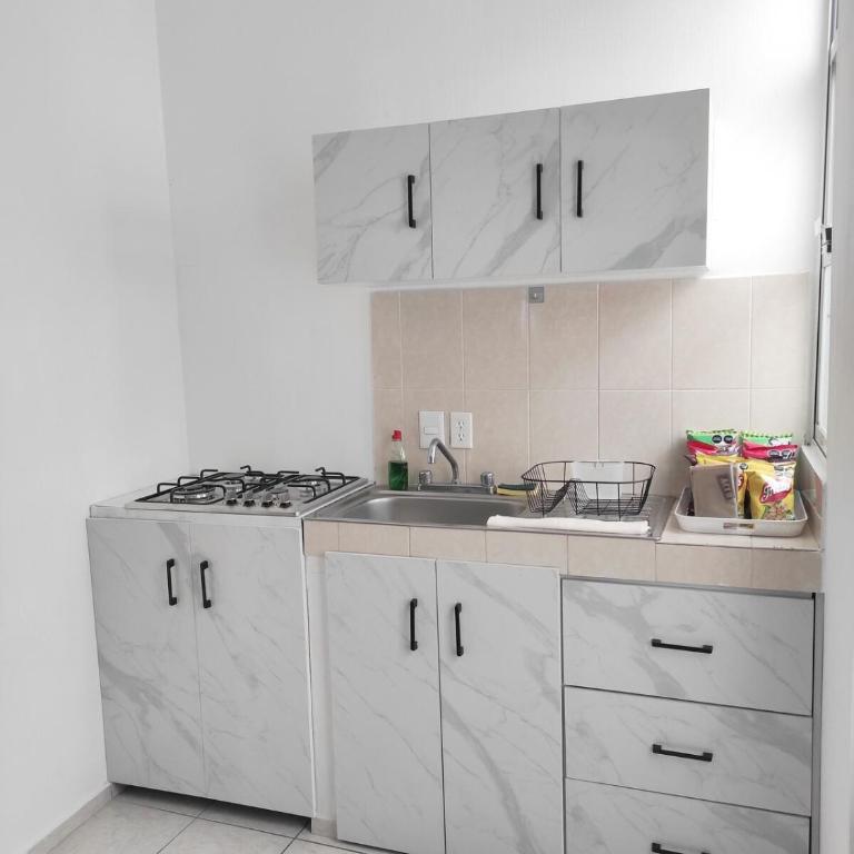 Departamento Luz de Lino - Apartamento de 1 dormitorio - 4