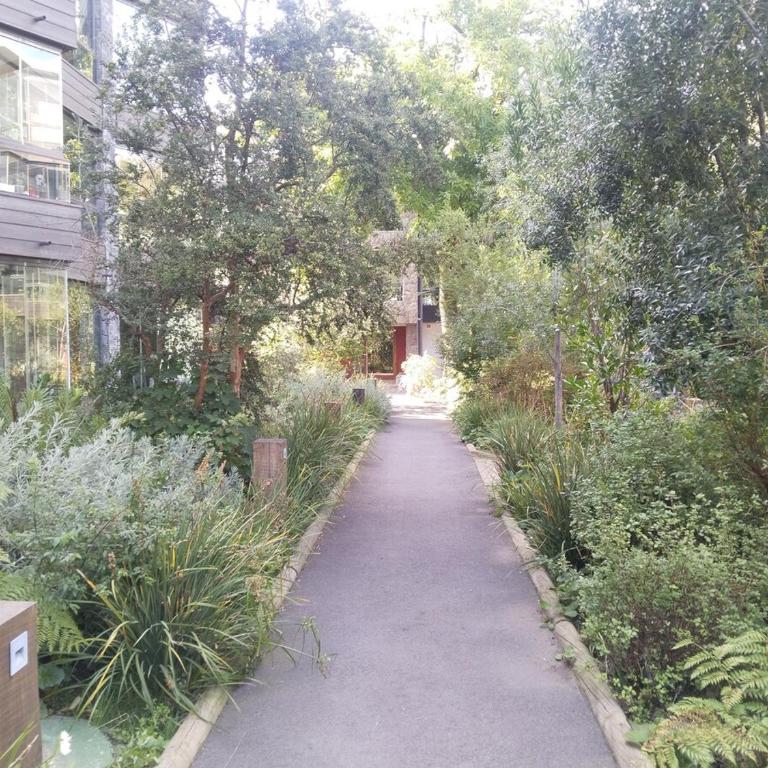 Departamento Nuevo Pucón - Apartamento de 2 dormitorios - 16