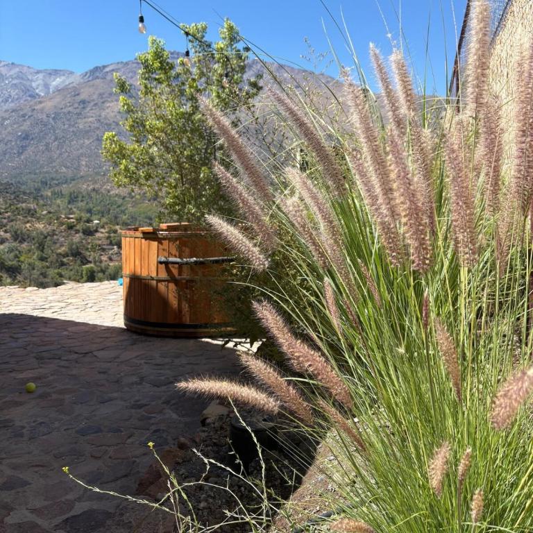 Refugio Los Andes con Hot Tub - One-Bedroom House - 18