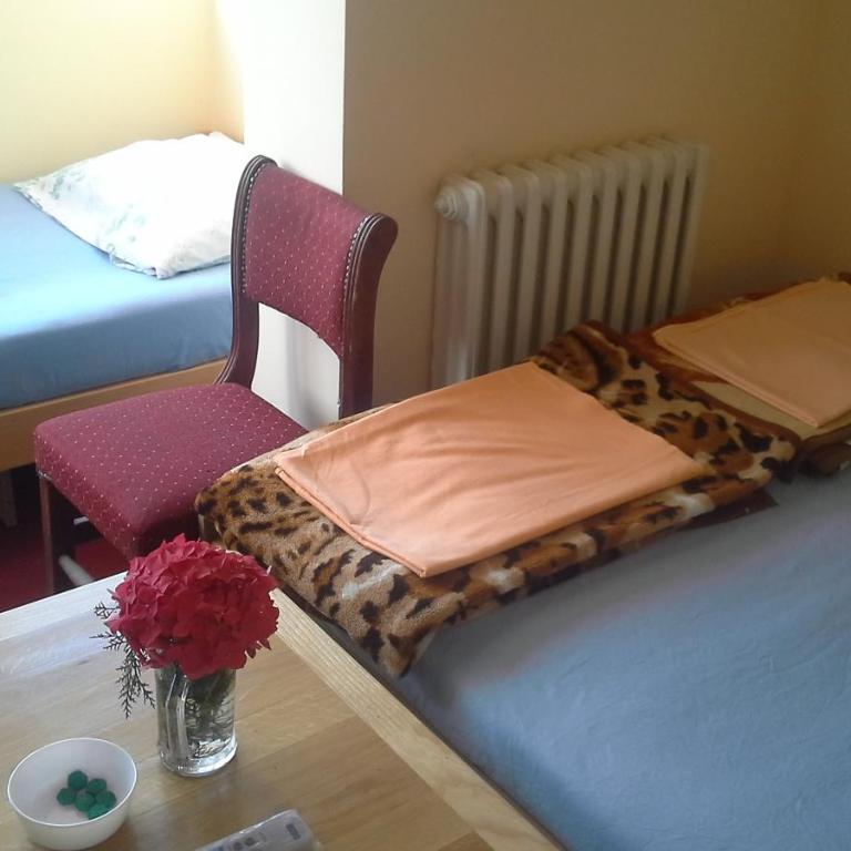 Guest house Mirijevski Konak - Dvokrevetna Soba sa Bračnim Krevetom i Balkonom (2 Odrasle Osobe + 1 Dete) - 13