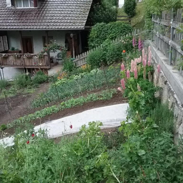 Charming Chalet Near Trails - Chalet mit 2 Schlafzimmern - 14