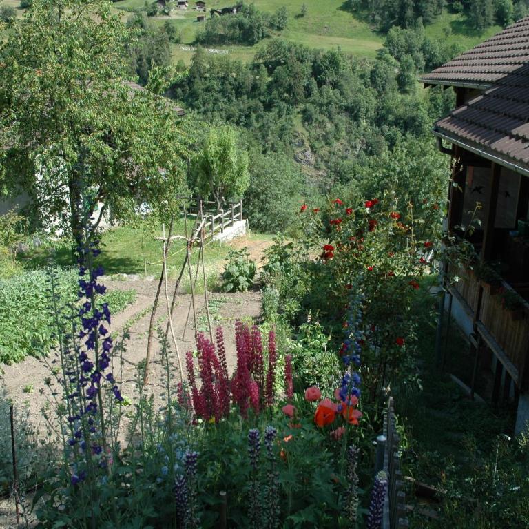 Charming Chalet Near Trails - Chalet mit 2 Schlafzimmern - 12