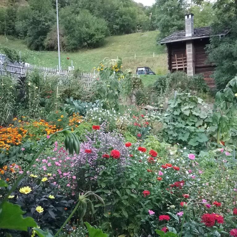 Charming Chalet Near Trails - Chalet mit 2 Schlafzimmern - 13