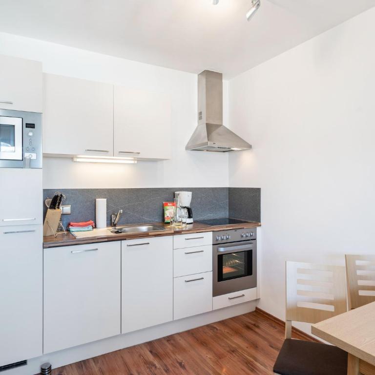 Apartment in Saalfelden near Ski Slopes - One-Bedroom Apartment - 6
