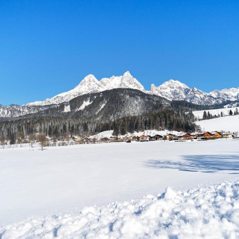 Apartment in Saalfelden near Ski Slopes - One-Bedroom Apartment - 28