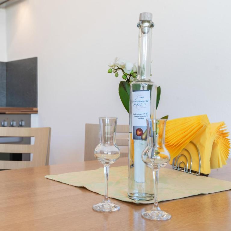 Apartment in Saalfelden near Ski Slopes - One-Bedroom Apartment - 32