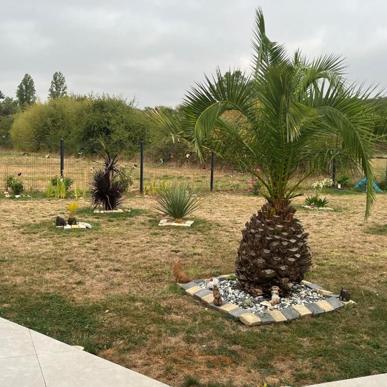 Chambre double -vue sur jardin - Doppelzimmer mit Terrasse - 16