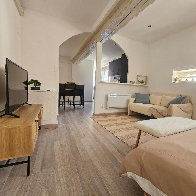 Mediterranean Studio - One-Bedroom Apartment - 1