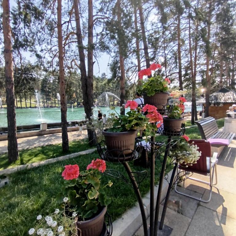 STUDIO 33 Luxury&Spa - Deluks Dvokrevetni Studio sa Bračnim Krevetom - 55