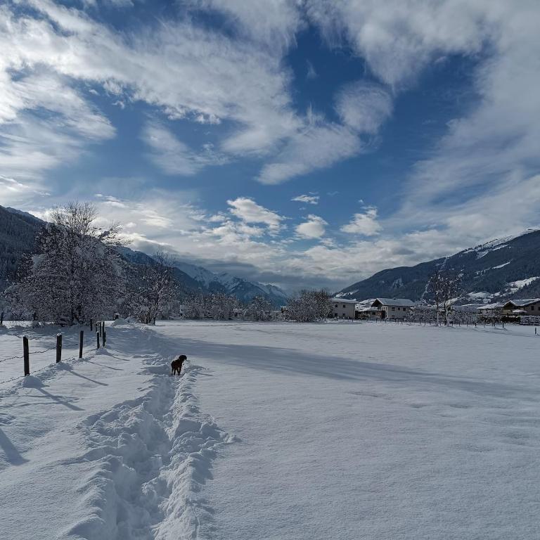 Chalet Bramberg near Ski Slopes - Appartement 2 Chambres - 23