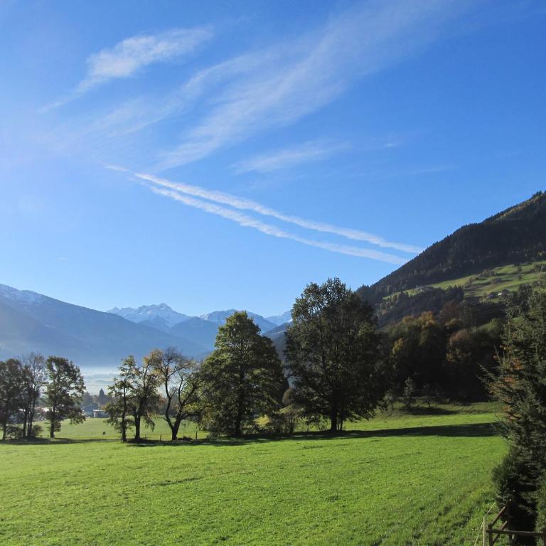 Wiesennest - Apartment - 28