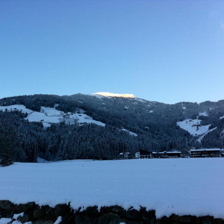 Wiesennest - Apartment - 31