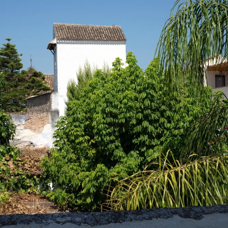 Hotel Viento10 - Studio mit Gartenblick - 3