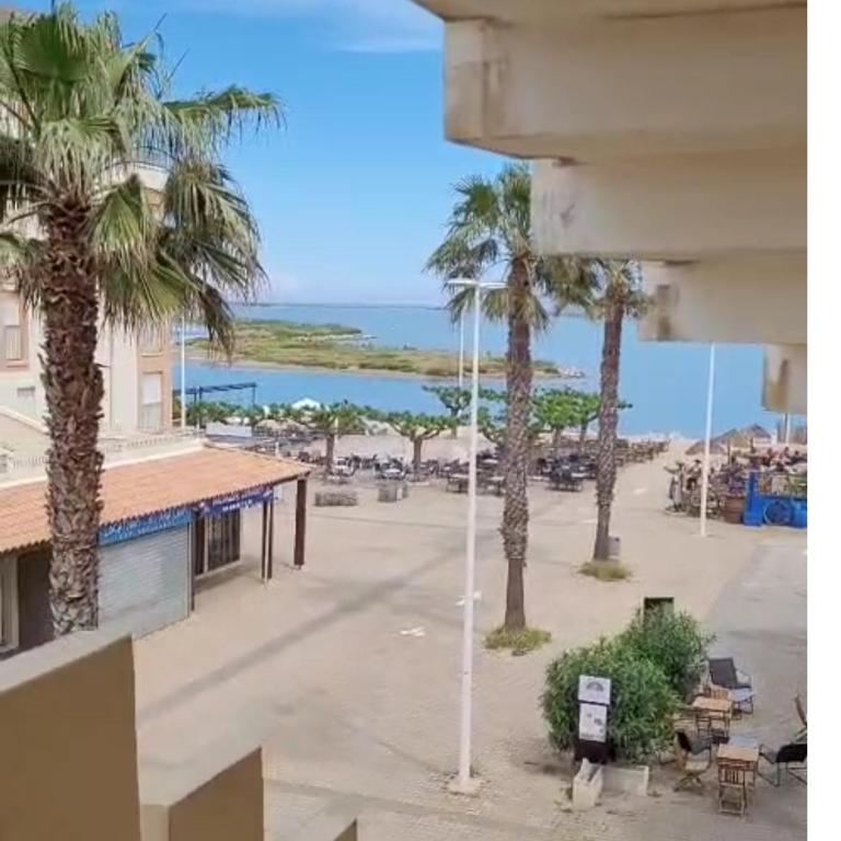 Le Thalassa II appartement T2 en bord de plage et du Port - Appartamento con 1 Camera da Letto - 10