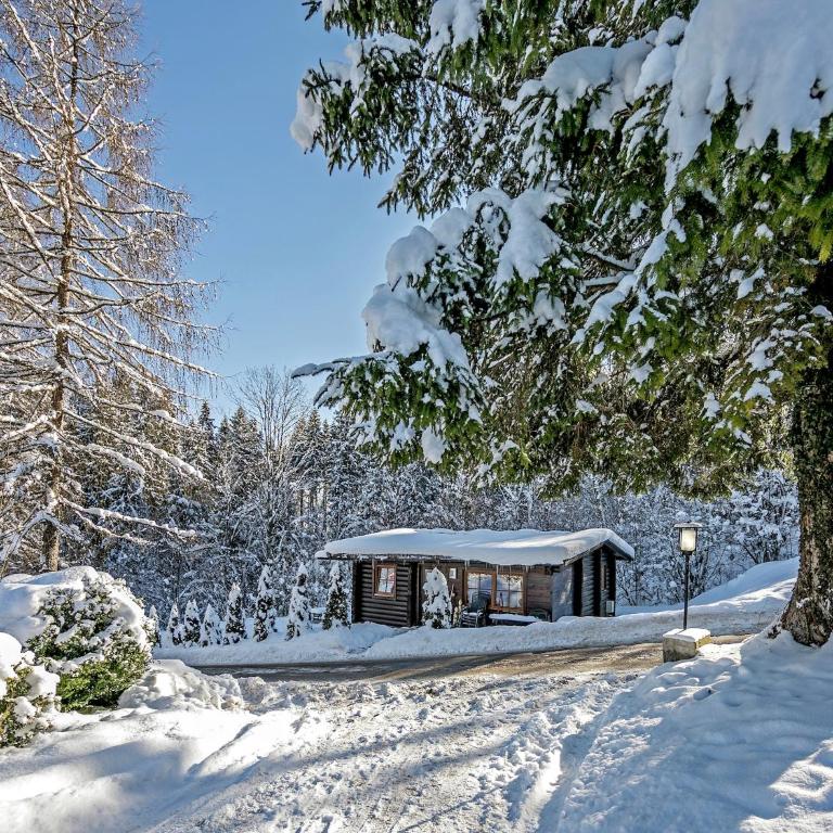 Family chalet with garden & terrace - Superior Chalet - 26