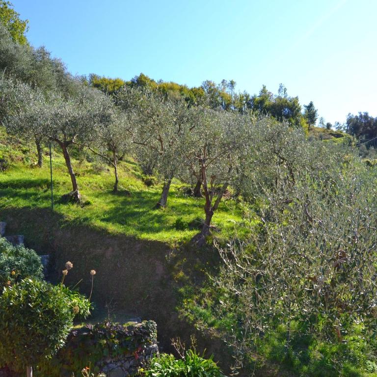 Escape Near Cinque Terre - Casa Vacanze con 2 Camere da Letto - 17