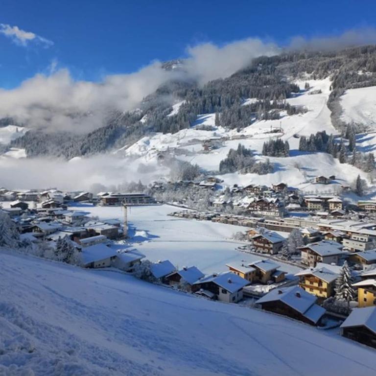 Chalet in Grossarl near Ski Slopes - Apartment mit 2 Schlafzimmern - 34