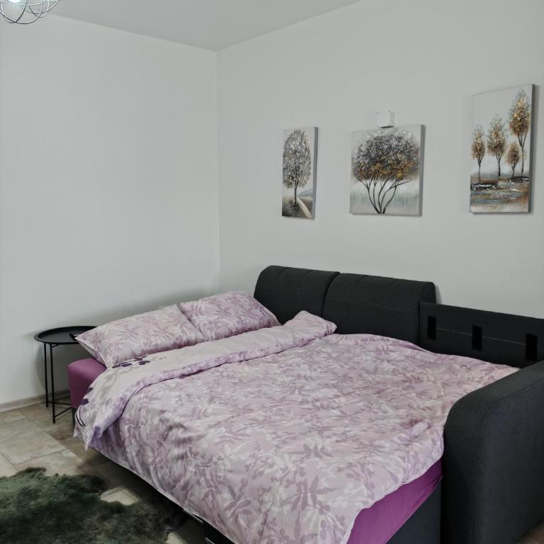 Vila Nika - Apartman sa 1 Spavaćom Sobom - 3
