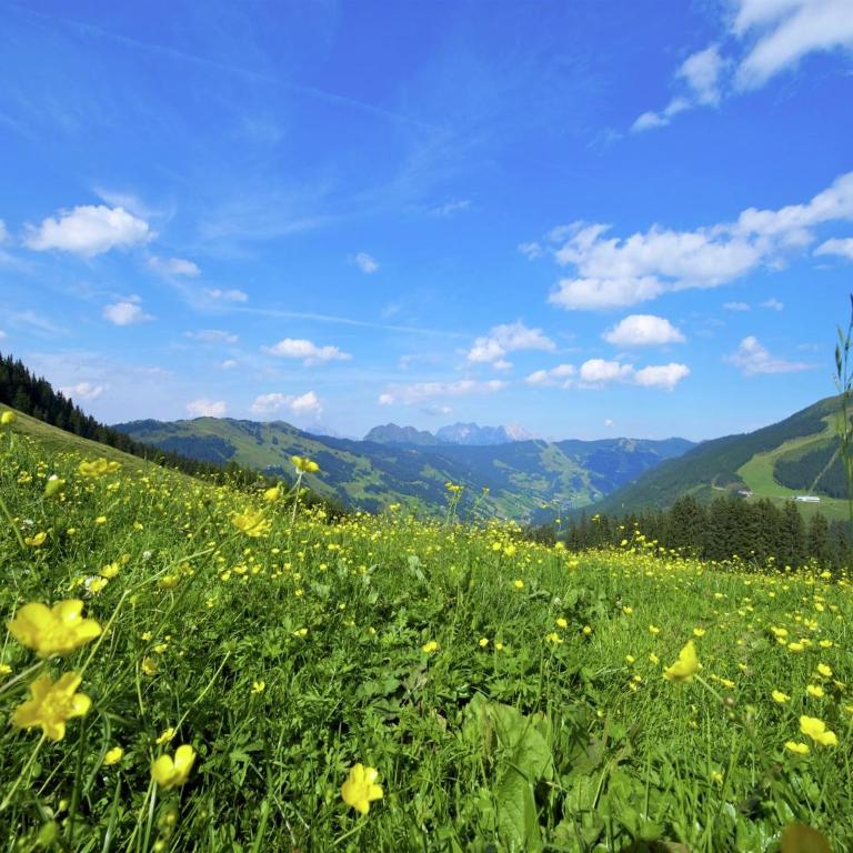 Detached Chalet in Saalbach - Superior Chalet - 20