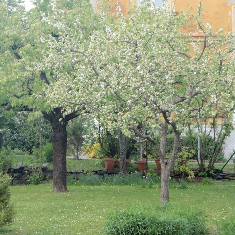 Greenhouse 22 - Apartment mit 1 Schlafzimmer - 1