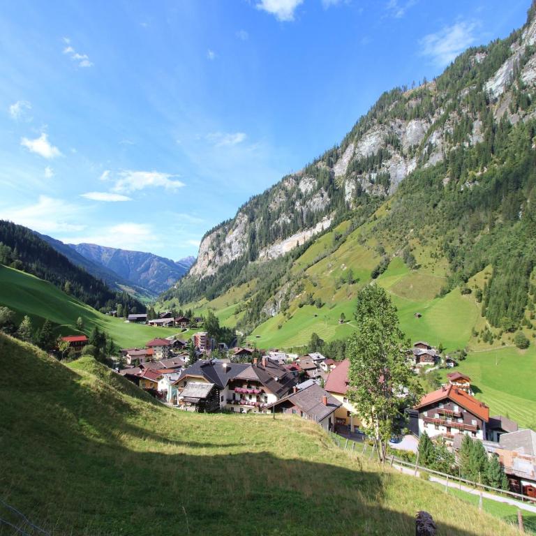 Apartment in Hüttschlag near Ski Bus - Apartment mit 1 Schlafzimmer - 7