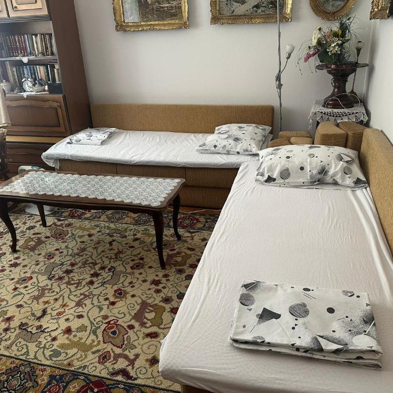 Grandma's City Center Apartment - Apartman sa 1 Spavaćom Sobom - 6