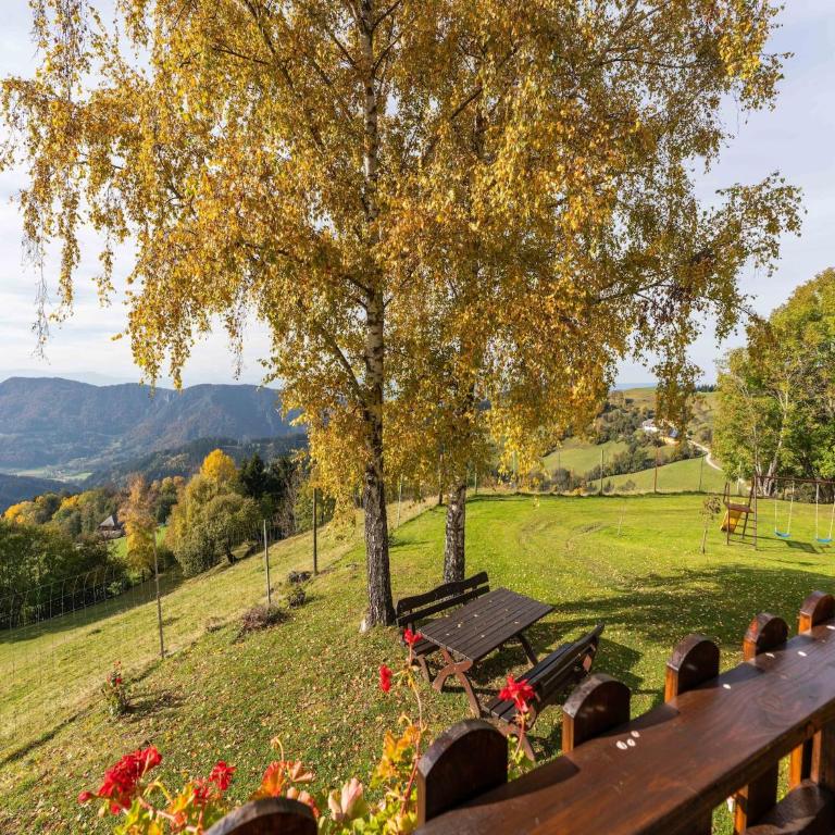 Chalet in Eberstein nahe Saualpe Skigebiet - Ferienhaus mit 3 Schlafzimmern - 35