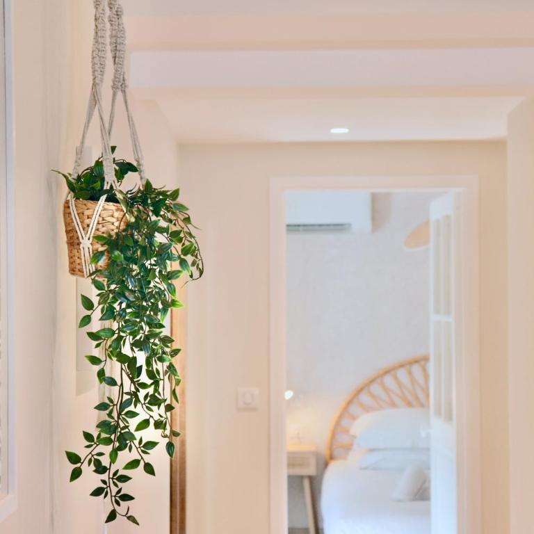 New! Beach Escape in Old Antibes - Appartement 2 Chambres - 10