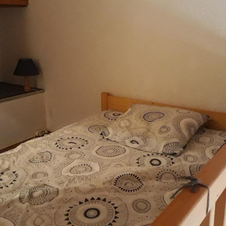 Appartement tout confort au pied des pistes avec balcon - Appartement 1 Chambre - 9