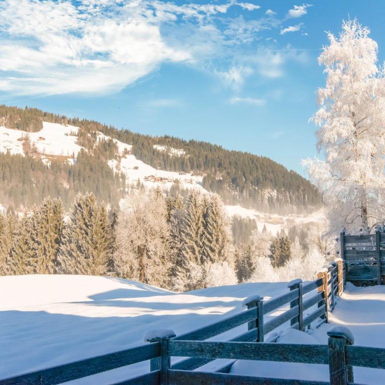 Apartment in Kirchberg near Ski Slopes - Apartment mit 2 Schlafzimmern - 26