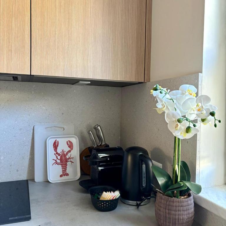 Fresh Apartment Upstairs & Free Parking - Apartamento de 1 dormitorio - 22