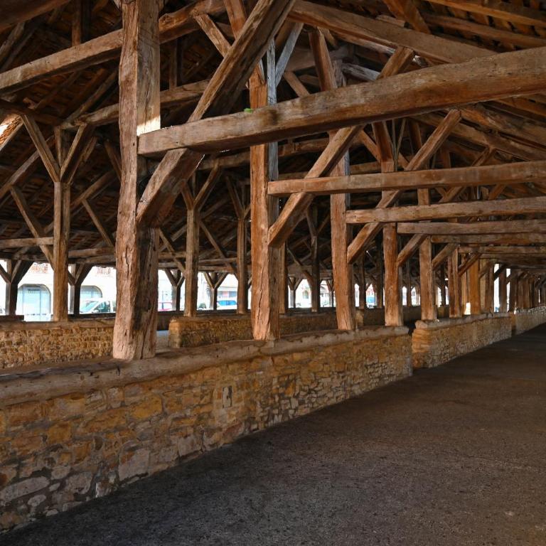La Maison de l'Apothicaire - Un refuge enchanté avec balnéo en hyper-centre - Appartement 2 Chambres avec Terrasse - 31