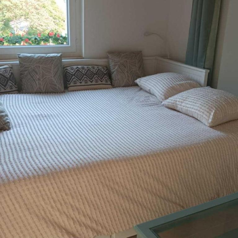 Villa septembre logement VANILLE - Appartement 1 Chambre - 14