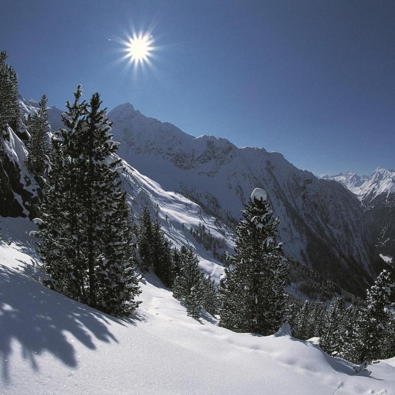 Chalet in Ellmau near Skiwelt Slopes - Casa Vacacional de 7 dormitorios - 21