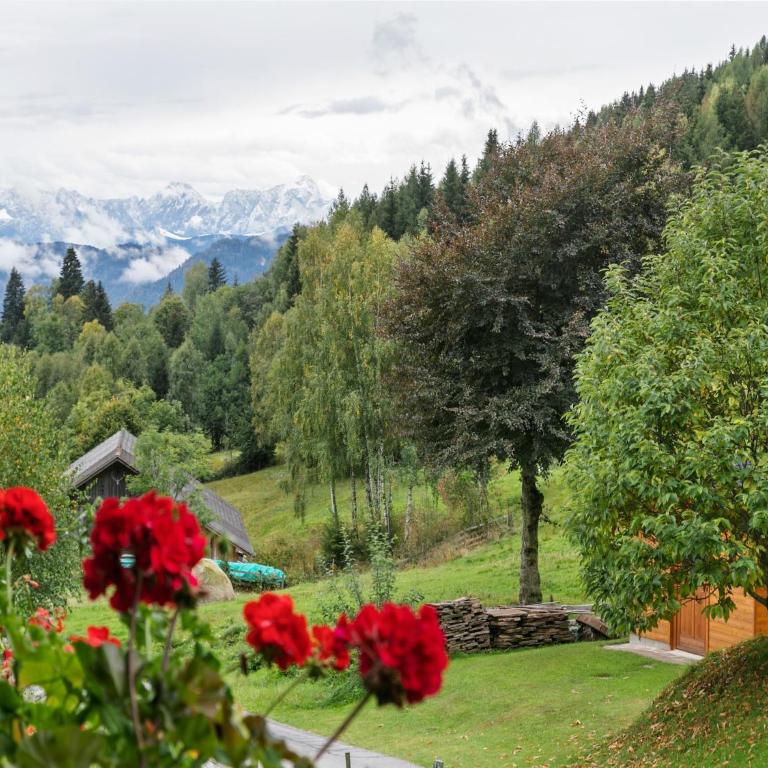 Chalet in Arriach near Gerlitzen Ski Area - Apartment mit 2 Schlafzimmern - 32