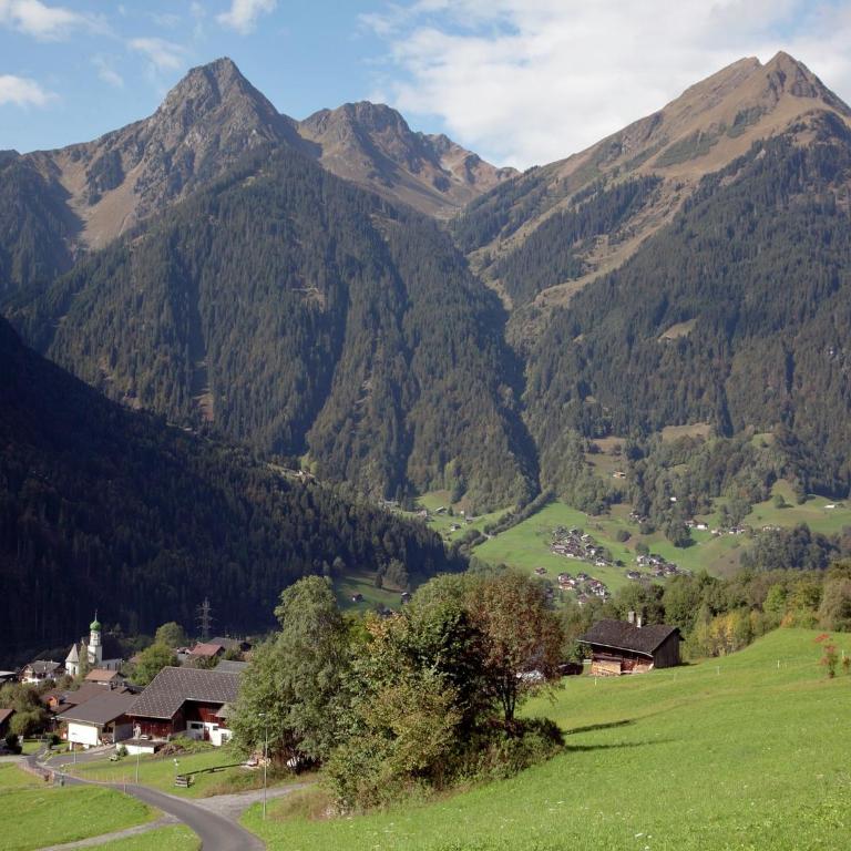 Wohnung in St Gallenkirch beim Skigebiet - Apartment - 23