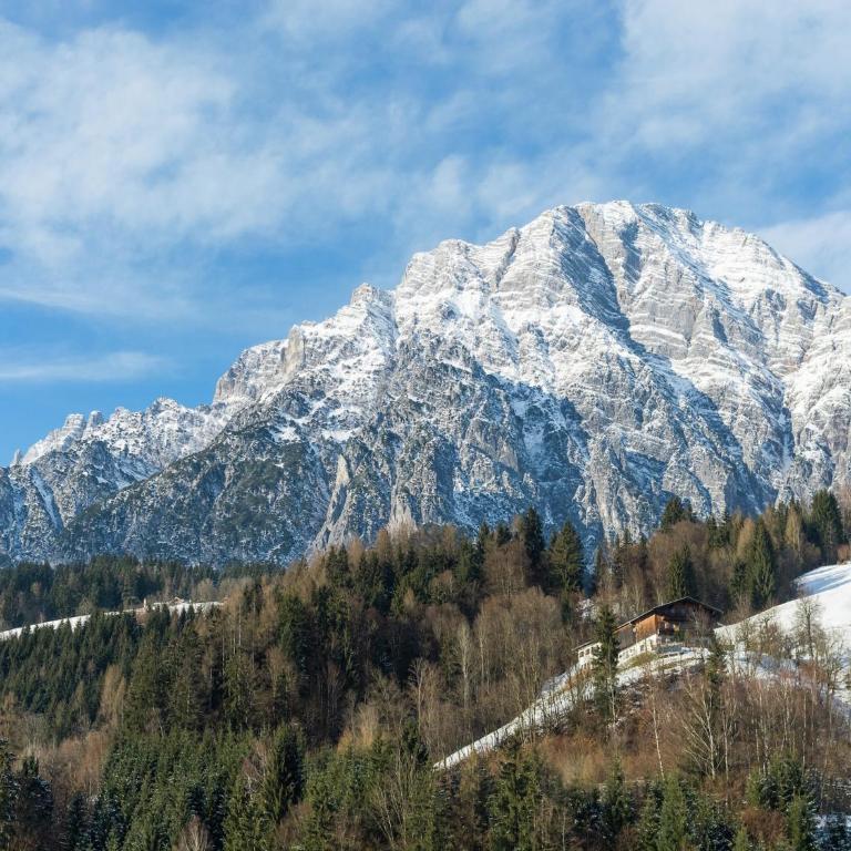 Apartment in Leogang near Ski Slopes - Apartment mit 2 Schlafzimmern - 35