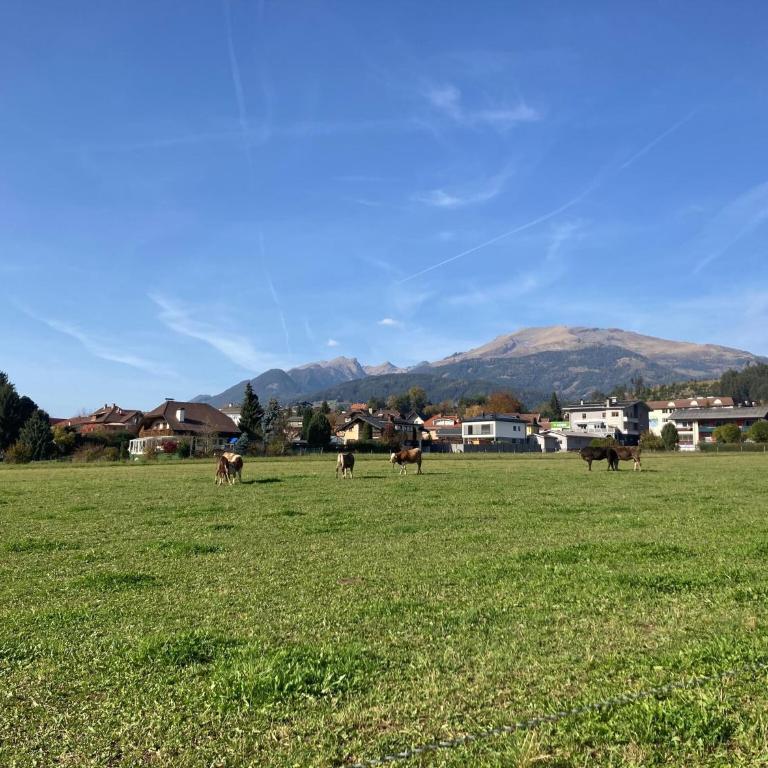 Ferienhaus Seeboden nahe Ski und See - Ferienhaus mit 2 Schlafzimmern - 15