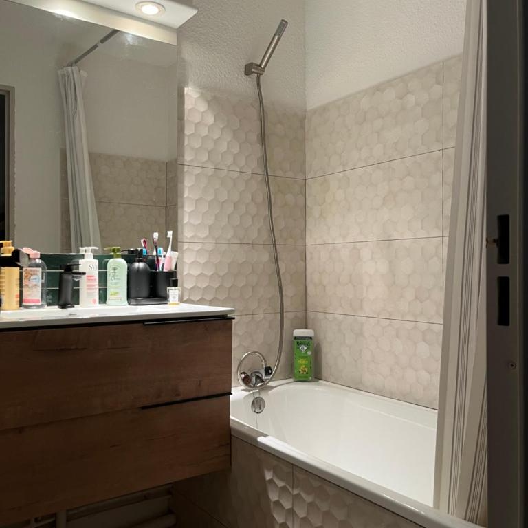 Appartement entièrement rénové 4 personnes Vars proche pistes et commerces - Apartment mit 2 Schlafzimmern - 9
