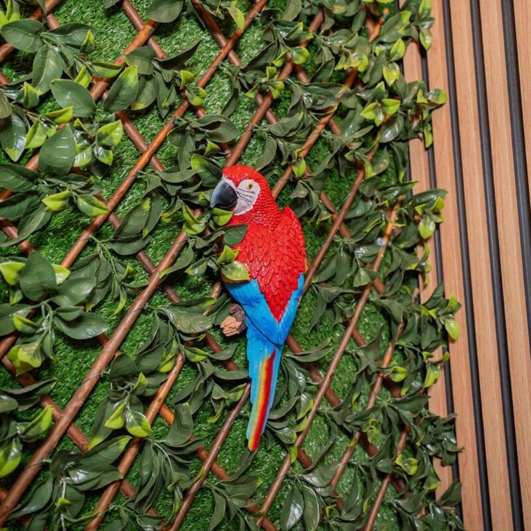 Aura Linda, Casa Bonita - Casa de 2 dormitorios - 37