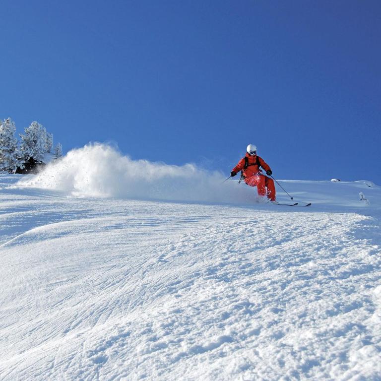 Apartment Zell am Ziller near Ski Arena - Two-Bedroom Apartment - 33