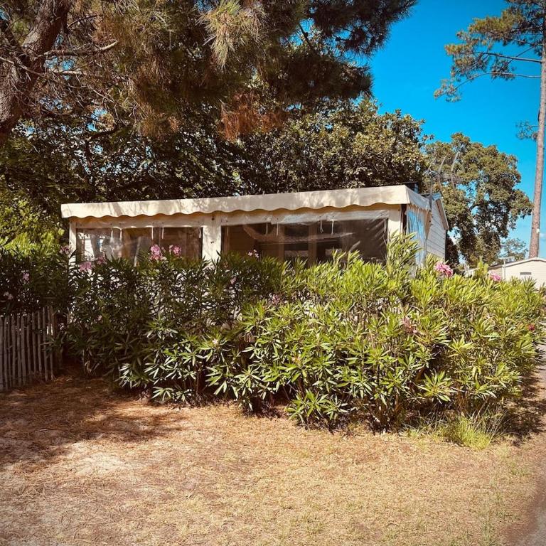 Cap Ferret Mobile Home Arcachon Bay View - Appartement 2 Chambres - 1