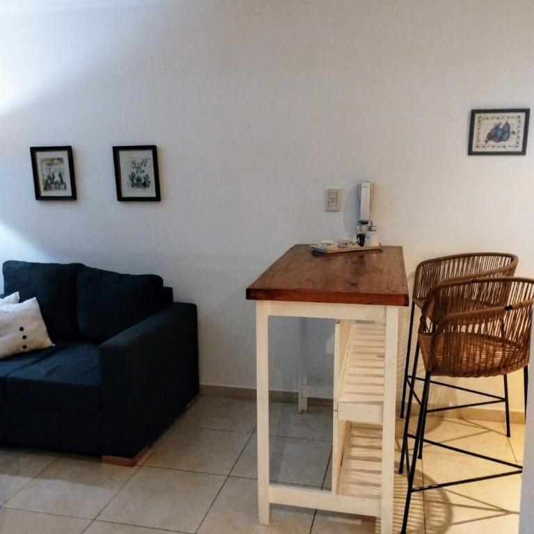 Paloma Suite, dpto céntrico, luminoso, con cochera - Apartamento de 1 dormitorio - 2