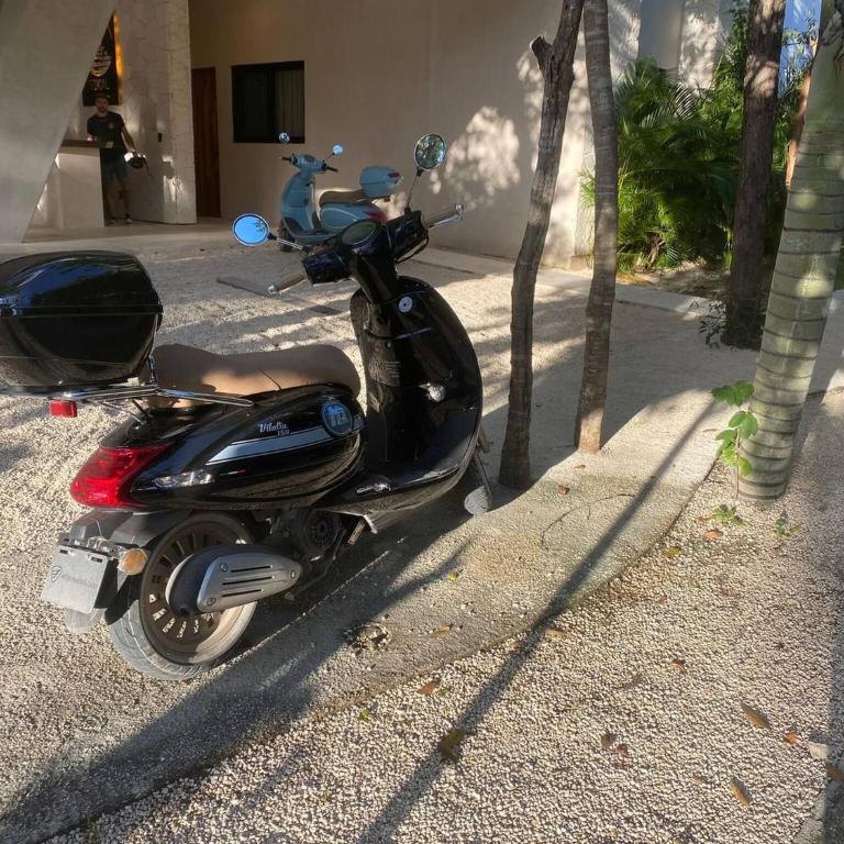 Spacious and comfortable Ph with private pool in Zama - Apartamento - 29
