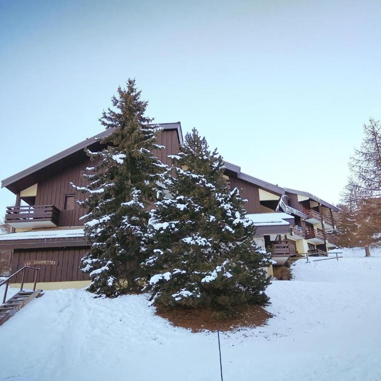 Studio renové Ski aux pieds Terrasse - FR-1-181-2857 - Studio - 9