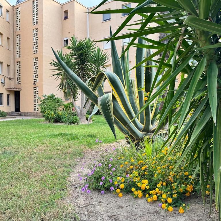 Elegant Beachfront Escape Private & Peaceful - Apartamento de 1 dormitorio - 43
